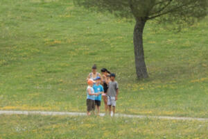 [Ateliers des petits curieux] Cache-cache forestier